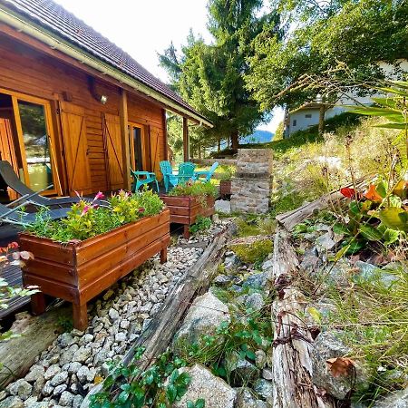Chalet Des Feignes La Bresse Luaran gambar