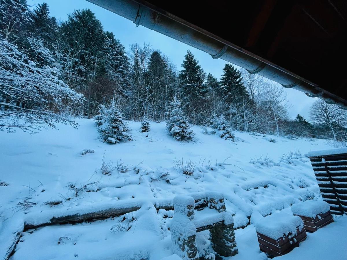 Chalet Des Feignes La Bresse Luaran gambar